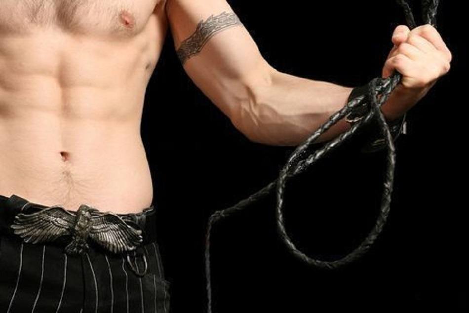 Master whip slave image